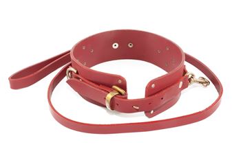 Picture of Collar & Lead